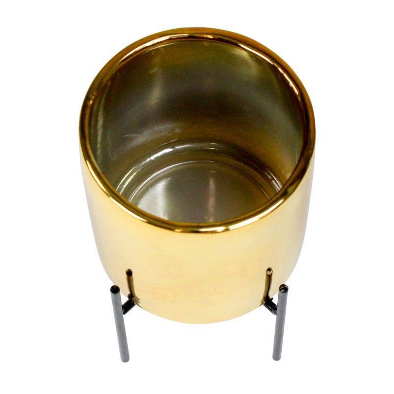 JODI GOLD PANTER