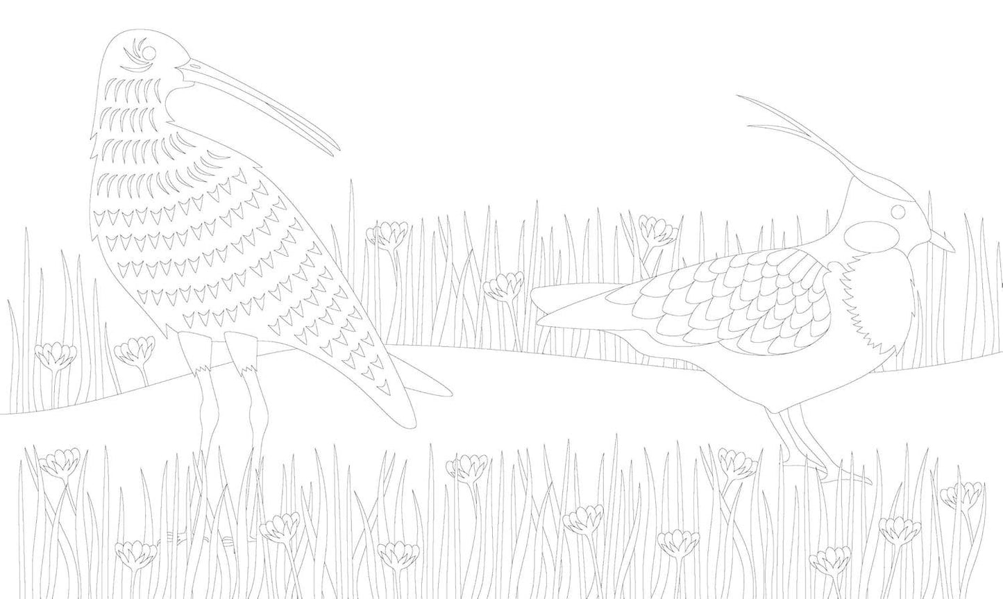 MINDFUL YEAR COLORING BOOK