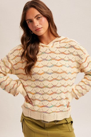 MULTI COLOR HOODED SWEATER