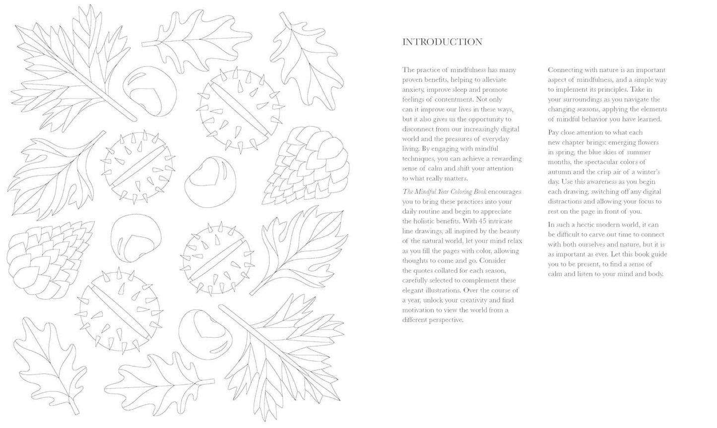 MINDFUL YEAR COLORING BOOK